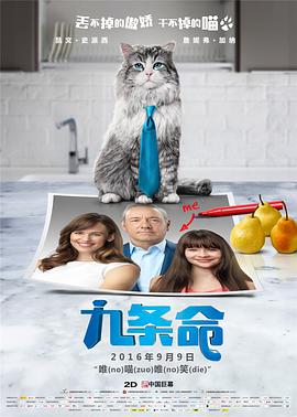 午夜久久久久久亚洲国产精品
