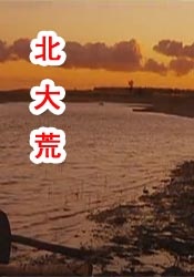 日本乳汁电影