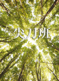 那里有其他的东西