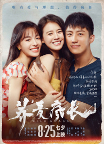 激情图片小说一区