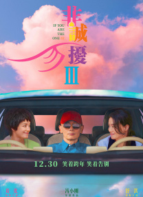 精品国产一区二区三区成人