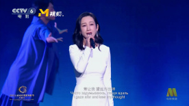 手机中文av网