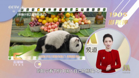 一夜七次狼在线观看